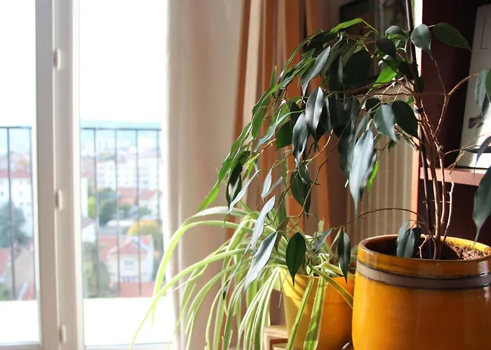 Chambre Zen Chez L'Habitant